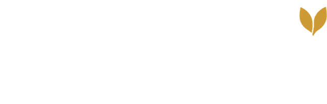 Clinnova